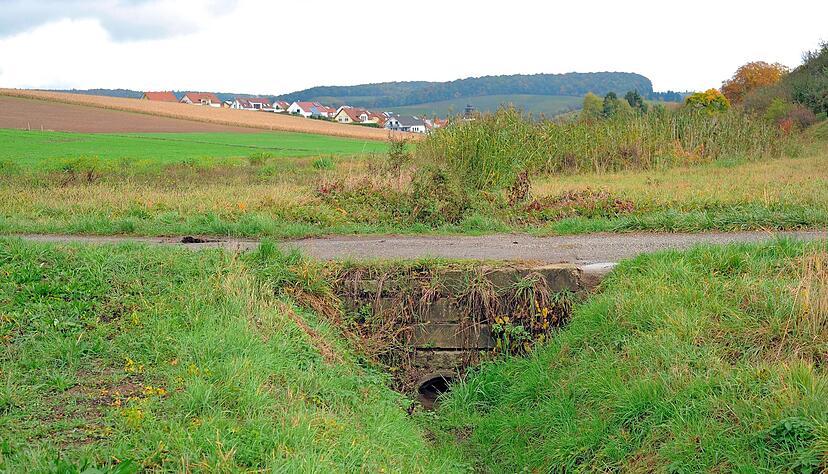 Um die Hochwassergefahr für die Bebauung unterhalb zu reduzieren, sollte die Verdolung des Mäusebachs vergrößert werden. Foto: Archiv