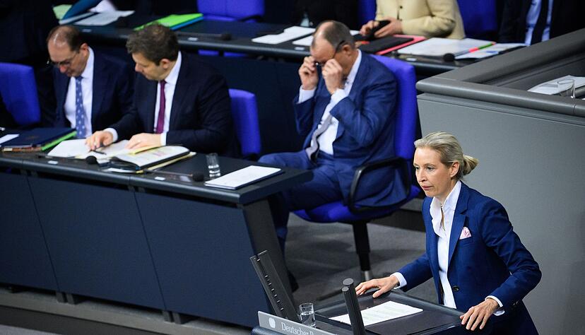 Weidel will Au&szlig;enpolitik an nationalen Interessen ausrichten.