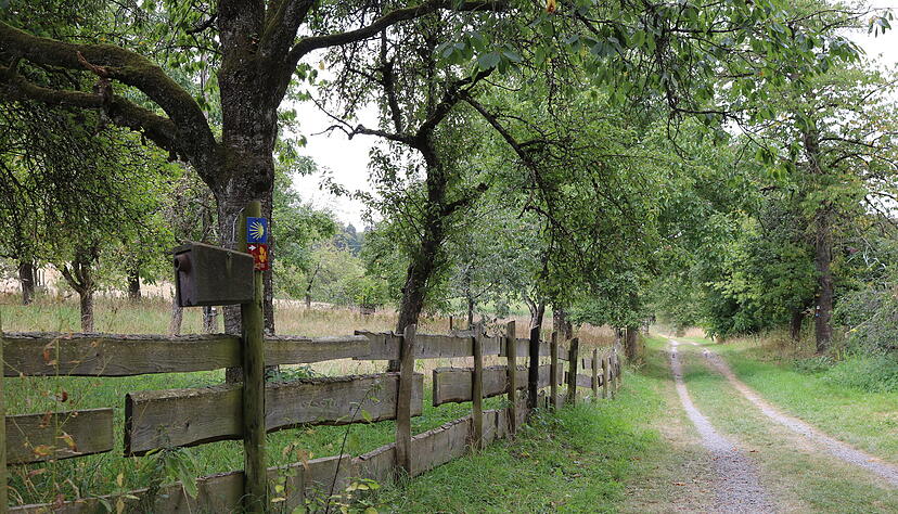 Von Neusa&szlig; ist es nicht mehr weit zum Etappenziel. Auf einem idyllischen Pfad verl&auml;uft die Strecke vorbei an alten Obstb&auml;umen und in Richtung Wald.