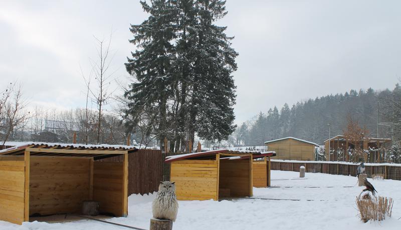 Das Kassenh&auml;uschen, eines der Gro&szlig;raumgehege und die Flugdrahtanlagen (im Vordergrund) f&uuml;r die Greife stehen bereits am neuen Standort.
Fotos: Sabine Friedrich