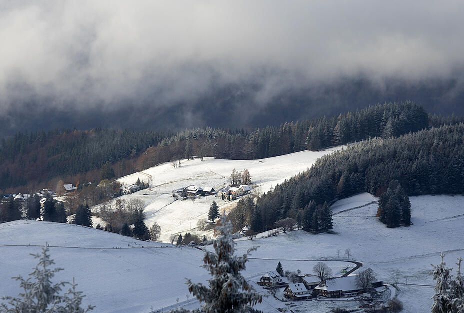 Schnee liegt auf einer sonnenbeschienen Wiese nahe dem Schauinsland.