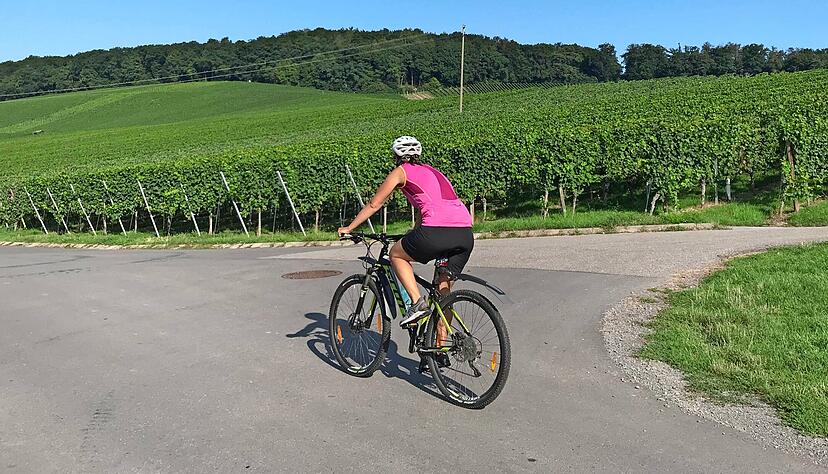Sieht man immer seltener auf den Hohenloher Radwegen: Radfahrer, die mit ihren Mountainbikes ohne Akku-Unterstützung über die hügeligen Wege unterwegs sind. Foto: Archiv