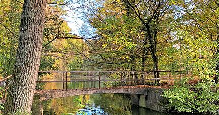 Das Zusammenspiel von Historie und Natur gefällt am Salinenwanderweg in Bad Friedrichshall besonders. Elf Informationstafeln bieten Erklärungen zu Salzgewinnung und Salzabbau. Fotos: Heide Böllinger