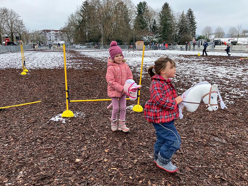 Der Öhringer Pferdemarkt am Sonntag lockte mit Ponys, Landmaschinen und vielen Verkaufsständen zahlreiche Besucher an.
