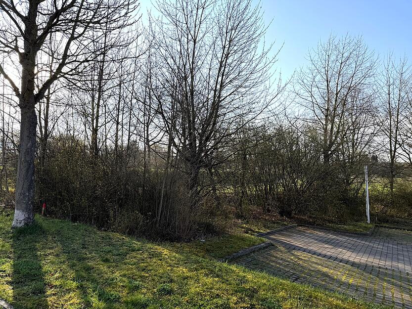 Im Heilbronner Gewerbegebiet Schwabenhof wurde am Mittwoch (18. M&auml;rz) ein Toter in einem Geb&uuml;sch entdeckt.