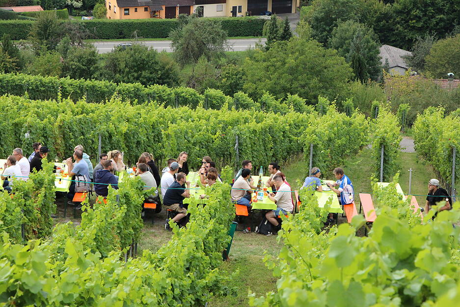 Kochertaler Genießertour in Hohenlohe gestartet. Kochertaler Genießertour in Hohenlohe gestartet.