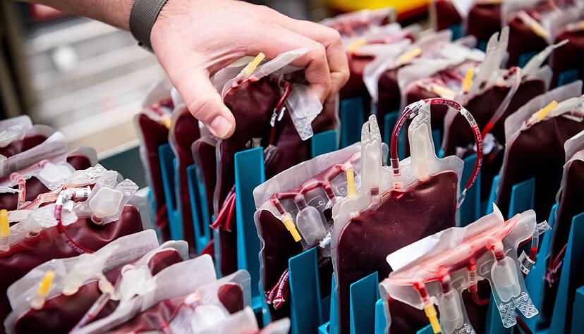 Blutkonserven werden im Kühlraum vom Blutspendedienst des Deutschen Roten Kreuzes (DRK) gelagert. Blutkonserven werden im Kühlraum vom Blutspendedienst des Deutschen Roten Kreuzes (DRK) gelagert.