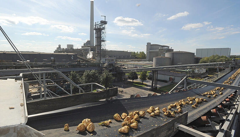 Von Mitte September bis kurz vor Weihnachten wurden die Zuckerr&uuml;ben im S&uuml;dzucker-Werk Offenau angeliefert und verarbeitet. Jetzt steigt kein Wasserdampf mehr aus dem Schornstein.