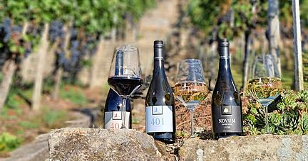 401 steht für die Zahl der Stufen in Rosswags höchster Terrassen-Steillage.
Foto: privat 401 steht für die Zahl der Stufen in Rosswags höchster Terrassen-Steillage.
Foto: privat