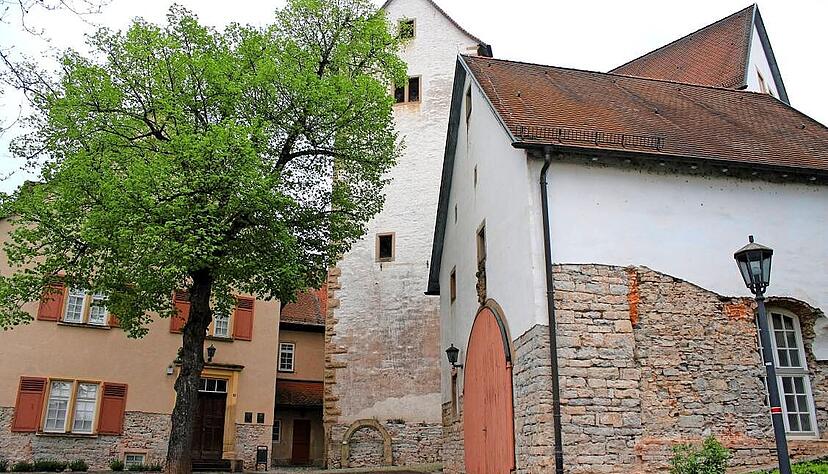 Nach umfassenden Überlegungen kristallisiert sich heraus, welche Nutzungen des Schlossareals das Leben in Neudenau bereichern können.
Foto: Daniel Hagmann
