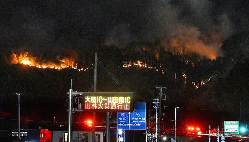 Bei den Waldbr&auml;nden sind bislang keine Personen ums Leben gekommen.