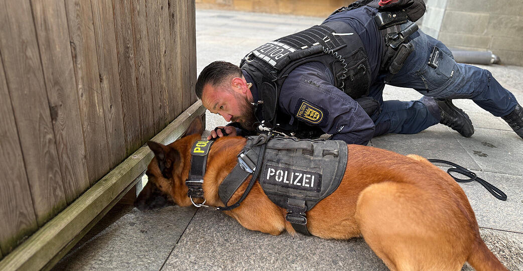 Gemeinsam mit seinem Hundef&uuml;hrer ist "Jax" in Heilbronn im Einsatz.