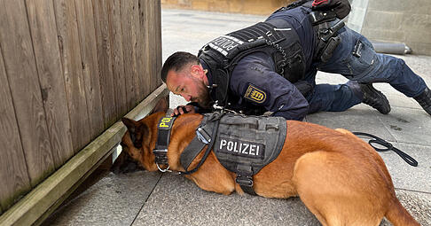 Gemeinsam mit seinem Hundef&uuml;hrer ist "Jax" in Heilbronn im Einsatz.