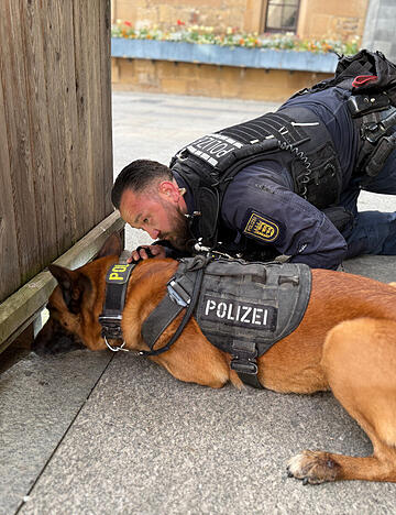 Gemeinsam mit seinem Hundef&uuml;hrer ist "Jax" in Heilbronn im Einsatz.