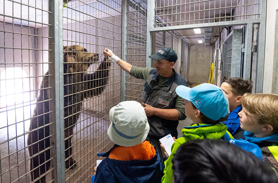 Stimme-Kindereporter zu Besuch im Wildparadies Tripsdrill