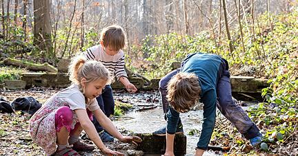 Beim Stiftungsprojekt Mitwirkwerk gehen Vorschulkinder im Wald auf Entdeckungstour, um Pflanzen und Tiere mit allen Sinnen zu erleben.
Foto:eloi/stock.adobe.com