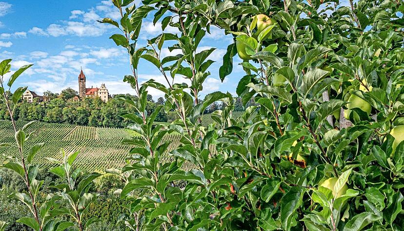 Das Schloss Stocksberg präsentiert sich inmitten der grünen Kulturlandschaft und Natur. Mit dem blauen Himmel bietet sich ein prächtiges Farbenspiel.
Foto: privat