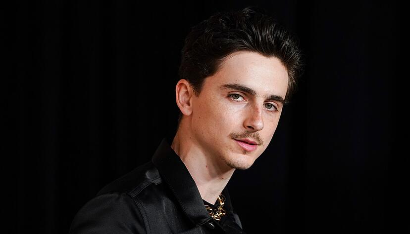 Timoth&eacute;e Chalamet gilt aktuell als einer der gefragtesten Schauspieler Hollywoods (Archivbild).