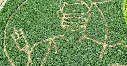 Der Landwirt Benedikt Lünemann in Selm in Nordrhein-Westfalen hat in diesem Jahr ein riesiges Labyrinth mit einer Silhouette einer Corona-Impfaktion gefräst. Die Motive des Maislabyrinths wechseln jährlich.
Foto: dpa