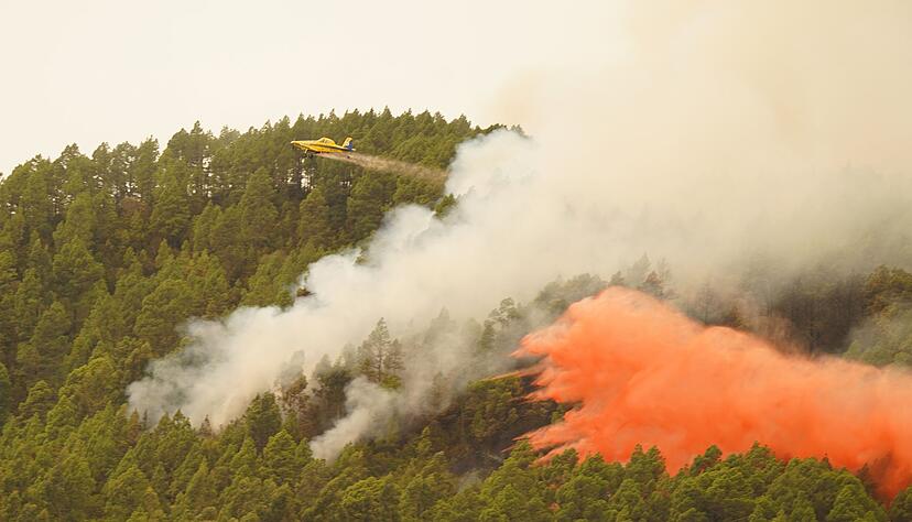 Ein Löschflugzeug wirft Wasser auf den Waldbrand in der Nähe der Gemeinde El Rosario auf Teneriffa.