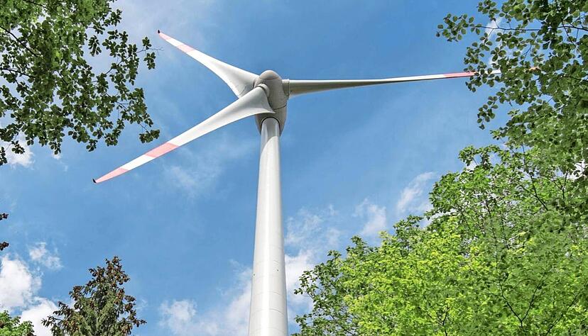 Strom aus dem Forst: Auch in Wäldern im Grenzgebiet von Heilbronn-Kirchhausen und dem Landkreis Heilbronn sollen sich Windkraftanlagen drehen. Strom aus dem Forst: Auch in Wäldern im Grenzgebiet von Heilbronn-Kirchhausen und dem Landkreis Heilbronn sollen sich Windkraftanlagen drehen.