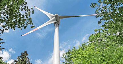 Strom aus dem Forst: Auch in W&auml;ldern im Grenzgebiet von Heilbronn-Kirchhausen und dem Landkreis Heilbronn sollen sich Windkraftanlagen drehen.
Foto: dpa