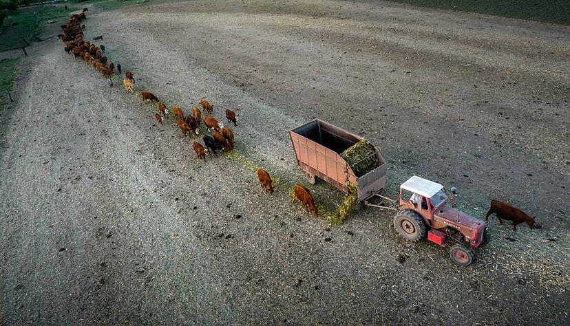 Anfang Februar 2023 trug La Niña zu einer verheerenden Dürre in Argentinien bei. (Archivbild) Anfang Februar 2023 trug La Niña zu einer verheerenden Dürre in Argentinien bei. (Archivbild)