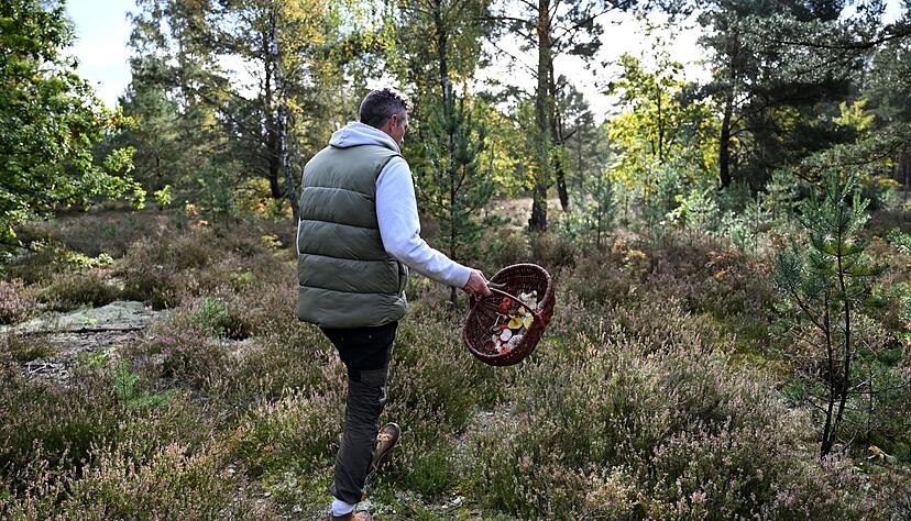 Moritz Schmid unterwegs in seinem Heimatwald. Moritz Schmid unterwegs in seinem Heimatwald.