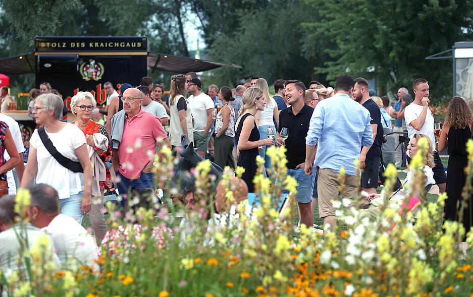 Gartenschau Eppingen, Fest im Weiherpark mit Lichtershow