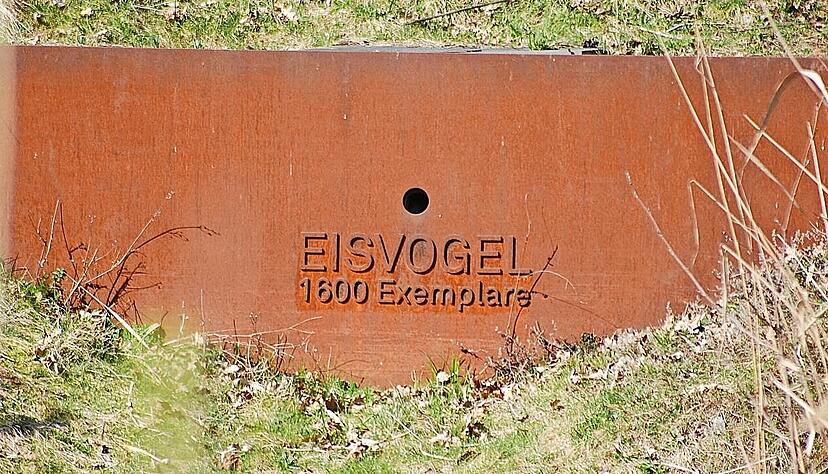 Nahaufnahme der Eisvogelwand: Aufmerksame Beobachter erkennen sie vom Ufersteg im Neckarhabitat im Neckarbogen Heilbronn aus.
Foto: meine.stimme-Heimatreporterin Heidrun Rosenberger Nahaufnahme der Eisvogelwand: Aufmerksame Beobachter erkennen sie vom Ufersteg im Neckarhabitat im Neckarbogen Heilbronn aus.
Foto: meine.stimme-Heimatreporterin Heidrun Rosenberger