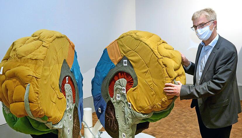 Aufgeklappt: Experimenta-Ausstellungsleiter Christian Sichau an einem vergrößerten Gehirnmodell. 20 verschiedene Bereiche werden erklärt und beschrieben. Bis Mai 2021 ist die Ausstellung aus Finnland in Heilbronn zu sehen.
Fotos: Ralf Seidel Aufgeklappt: Experimenta-Ausstellungsleiter Christian Sichau an einem vergrößerten Gehirnmodell. 20 verschiedene Bereiche werden erklärt und beschrieben. Bis Mai 2021 ist die Ausstellung aus Finnland in Heilbronn zu sehen.
Fotos: Ralf Seidel