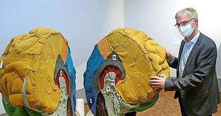 Aufgeklappt: Experimenta-Ausstellungsleiter Christian Sichau an einem vergrößerten Gehirnmodell. 20 verschiedene Bereiche werden erklärt und beschrieben. Bis Mai 2021 ist die Ausstellung aus Finnland in Heilbronn zu sehen. 
Fotos: Ralf Seidel