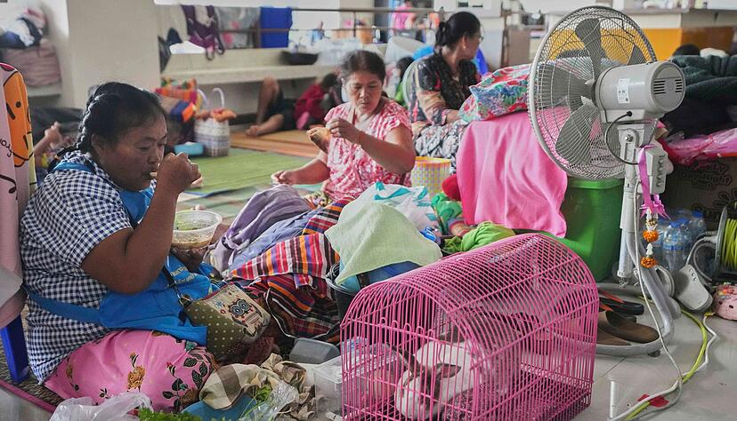 Viele Vertriebene haben ihr Hab und Gut samt Haustieren in Sicherheit gebracht. Viele Vertriebene haben ihr Hab und Gut samt Haustieren in Sicherheit gebracht.