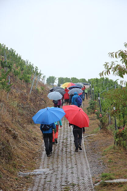 Lesersommer-Wanderung bei Criesbach
