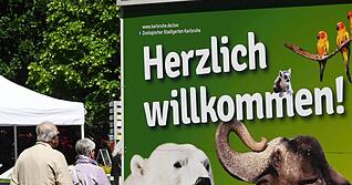 Der Karlsruher Zoo wirbt unter anderem mit den Eisb&auml;ren. (Archivbild)