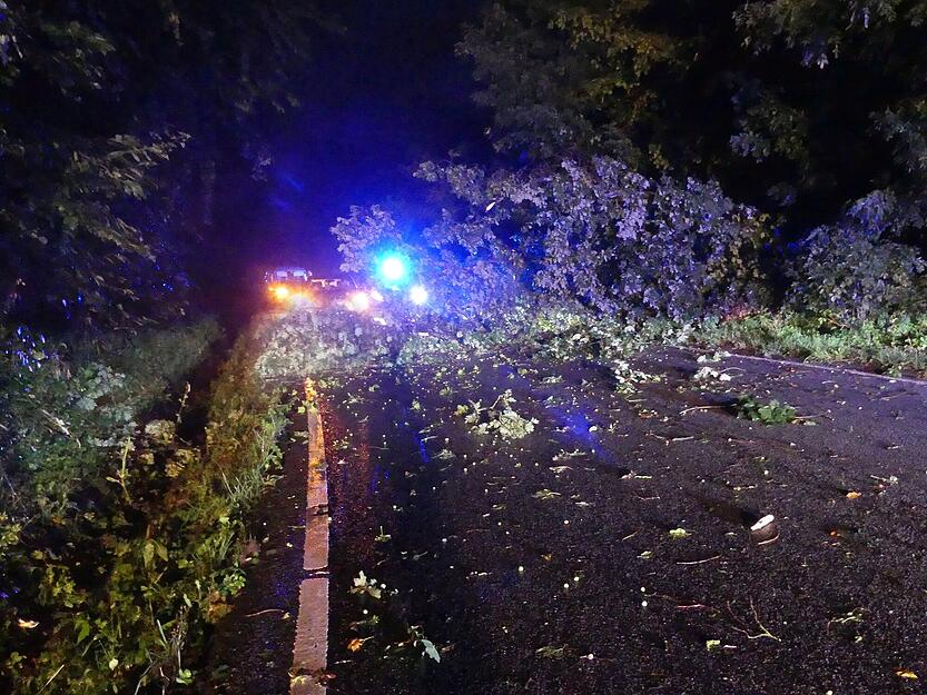 Umgestürzte Bäume versperrten unter anderem eine Straße auf dem Wartberg in Heilbronn.
