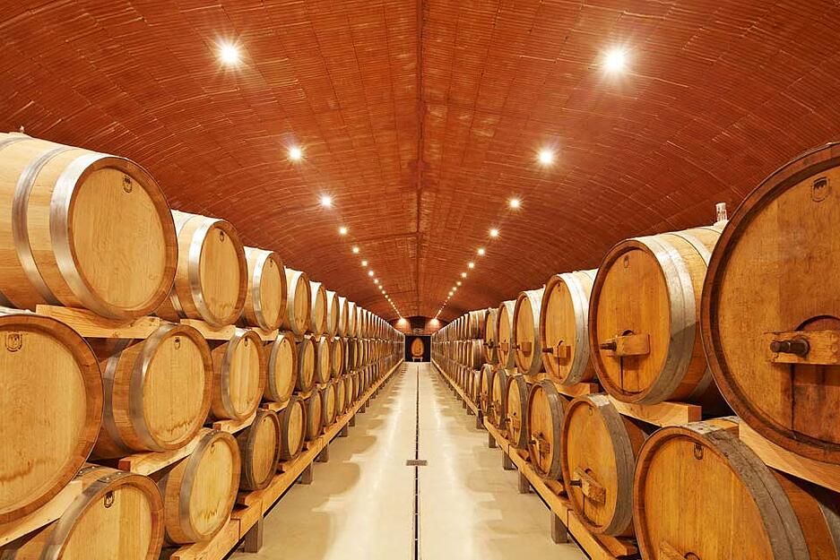 Diesen Gew&ouml;lbekeller hat die Firma Neuschwander im Weingut Ziereisen in Effringen-Kirchen realisiert.