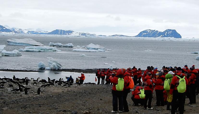 Wie nah ist zu nah? Das fragen sich Experten, wenn es um die Pinguin-Kolonien in der Antarktis und die Touristen geht. Wie nah ist zu nah? Das fragen sich Experten, wenn es um die Pinguin-Kolonien in der Antarktis und die Touristen geht.