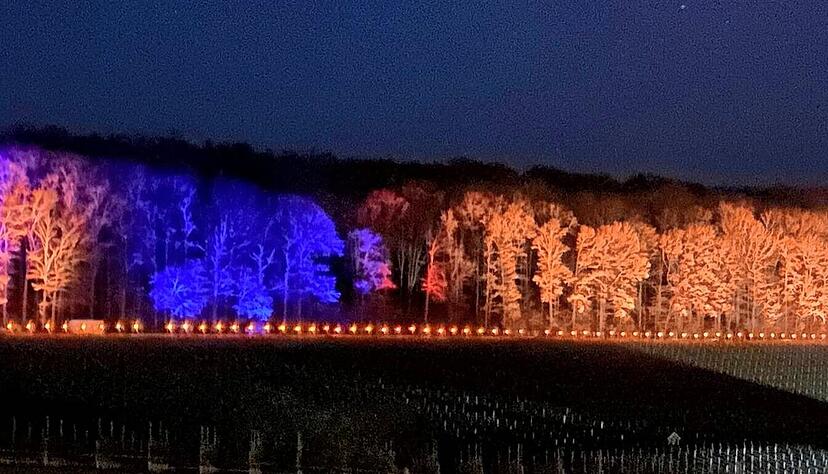Die bunten Lichter erschaffen einen zauberhaften Märchenwald. Die bunten Lichter erschaffen einen zauberhaften Märchenwald.
