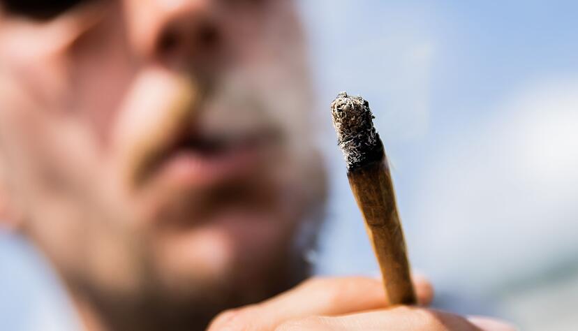 Immer stärkeres Haschisch und Marihuana auf dem Markt führt vermehrt zu Sucht in Westeuropa. Immer stärkeres Haschisch und Marihuana auf dem Markt führt vermehrt zu Sucht in Westeuropa.