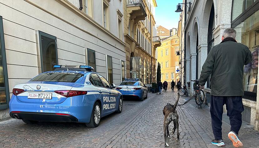 Südtirol verzichtet nun doch auf eine Art Hunde-Kurtaxe. (Archivbild) Südtirol verzichtet nun doch auf eine Art Hunde-Kurtaxe. (Archivbild)