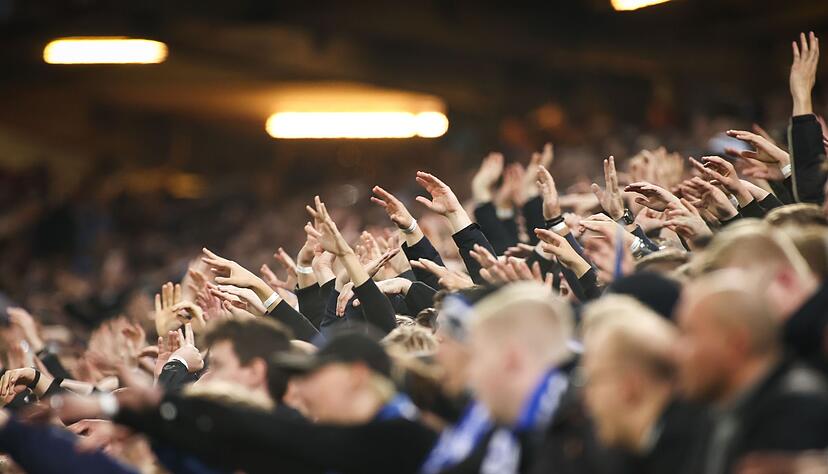 Fußballfans jubeln im Stadion. Fußballfans jubeln im Stadion.