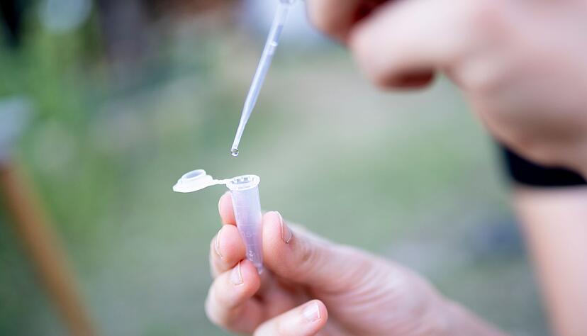 Nach dem Winter lohnt es sich, das Teichwasser sanft zu klären – oft reichen einfache Maßnahmen wie ein Teilwasserwechsel. Nach dem Winter lohnt es sich, das Teichwasser sanft zu klären – oft reichen einfache Maßnahmen wie ein Teilwasserwechsel.