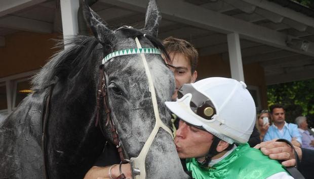 Night Magic gewann das Galopprennen in Iffezheim. Night Magic gewann das Galopprennen in Iffezheim.