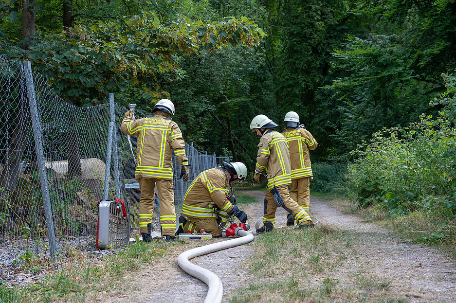 Rettungshundestaffel Unterland Übung