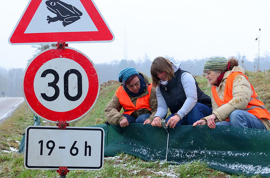 Kreis&ouml;kologin Stefanie Kielhorn erkl&auml;rt den freiwilligen Helferinnen Annette Schwarz von Specht (rechts) und Marion Valentin, wie die Kr&ouml;tenschutzz&auml;une befestigt werden.