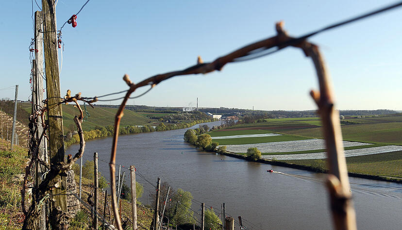 Vor allem der Steillagen-Weinbau wie hier in Lauffen am Neckar ist in Schieflage geraten.
