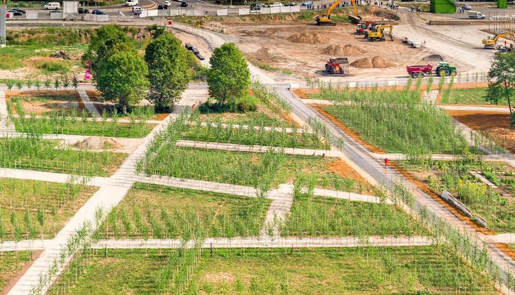 Auf dem Gelände der Bundesgartenschau nördlich des Heilbronner Hauptbahnhofs nehmen die Grünanlagen langsam Gestalt an. So findet sich etwa im sogenannten Inzwischenland ein interkultureller Garten (rechts).Foto: Batriks GbR