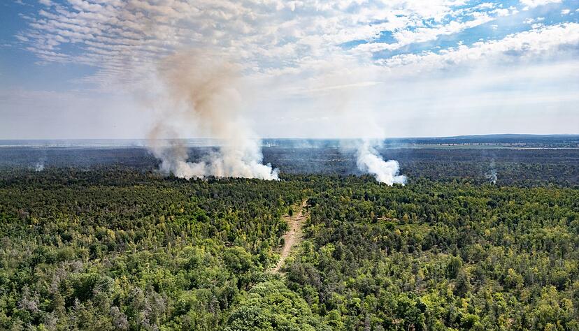 Rauch steigt in der Gohrischheide in den Himmel.
