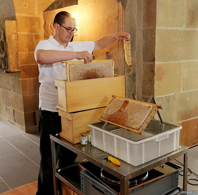 Honig auf der Kilianskirche Honig auf der Kilianskirche